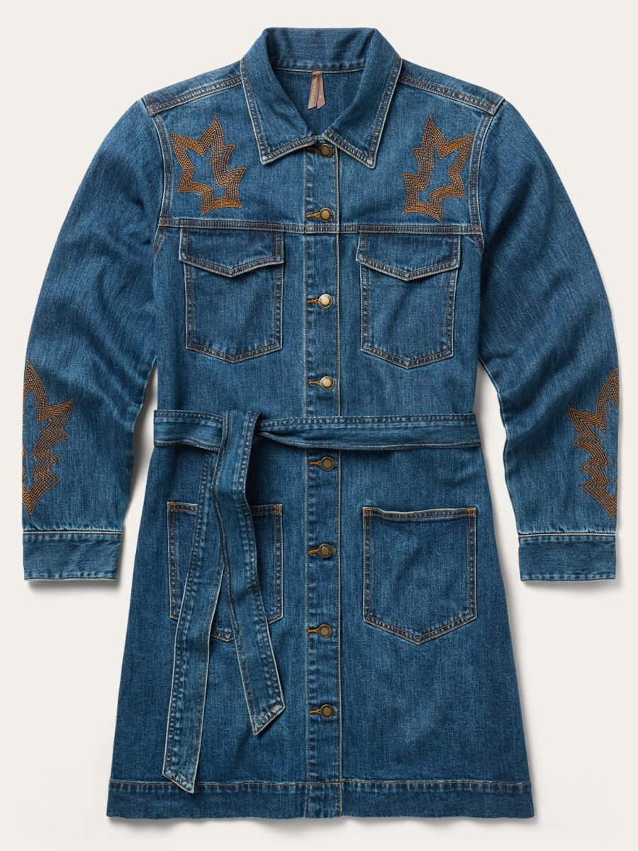 Embroidered Stretch Denim Shirt Dress