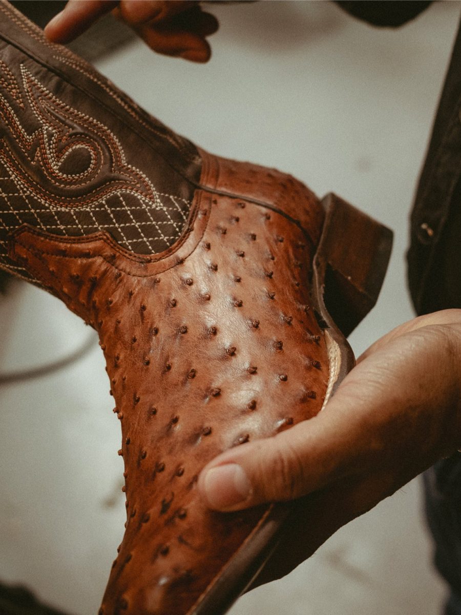 Ozzy Ostrich Boot