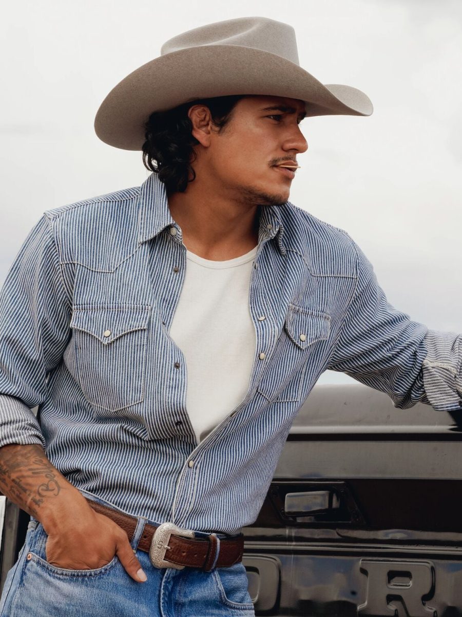 Denim Stripe Western Shirt