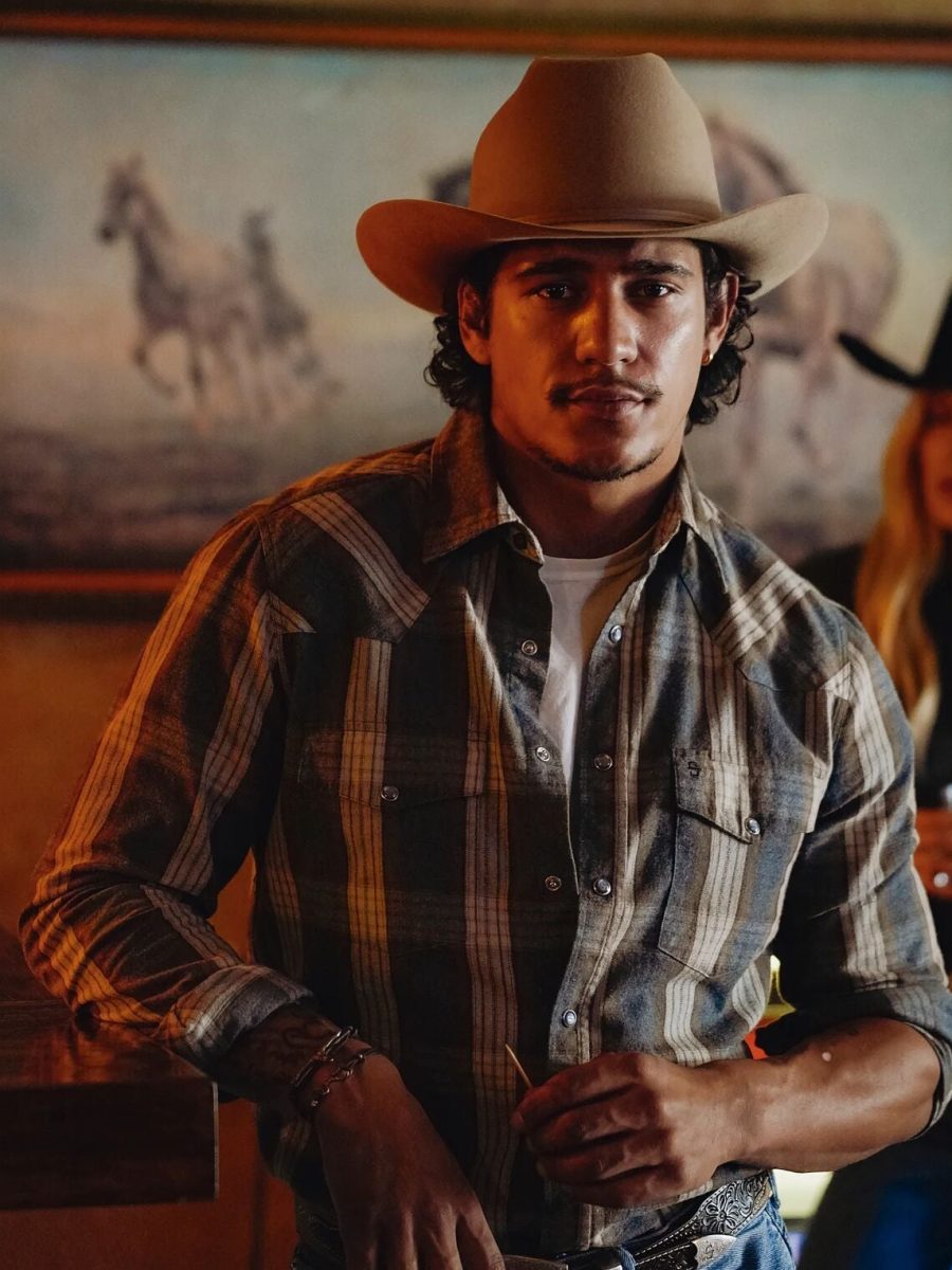 Heather Plaid Western Shirt